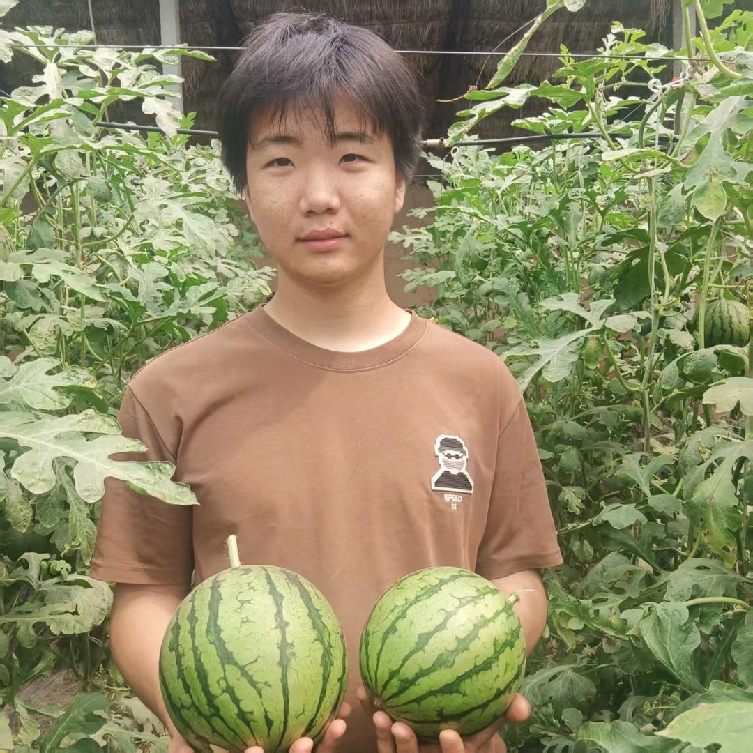 河南冰糖籽西瓜净重4-8斤包邮