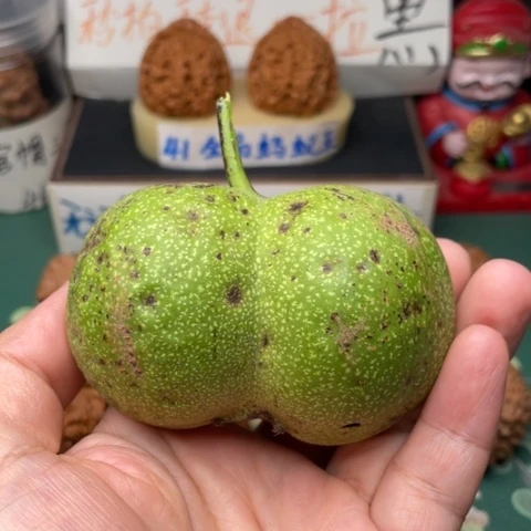 【闪购商品】把件文玩核桃白狮子青皮