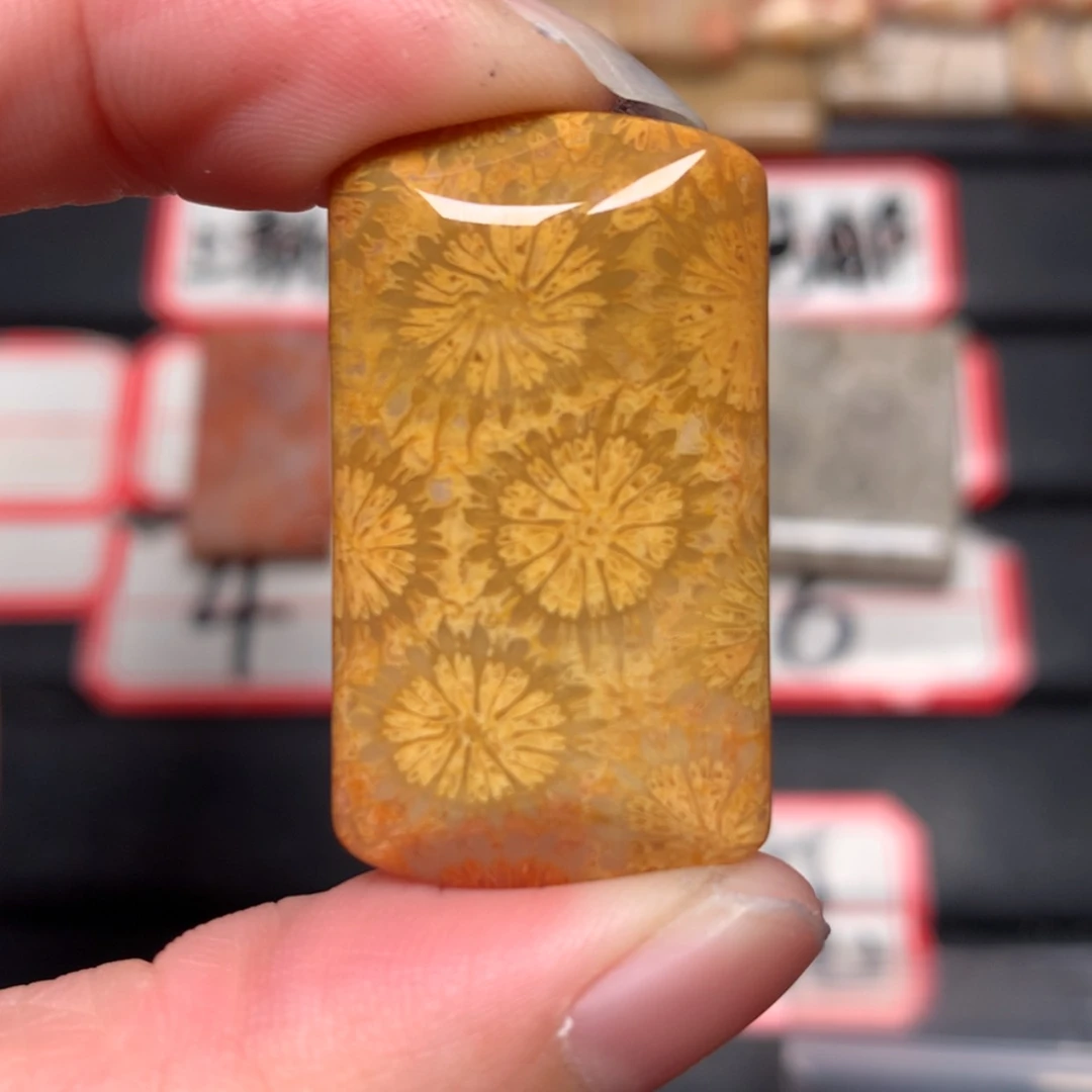 【闪购商品】未镶嵌颈饰硅化玉北*