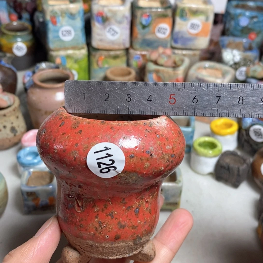 拍5送一个小礼物