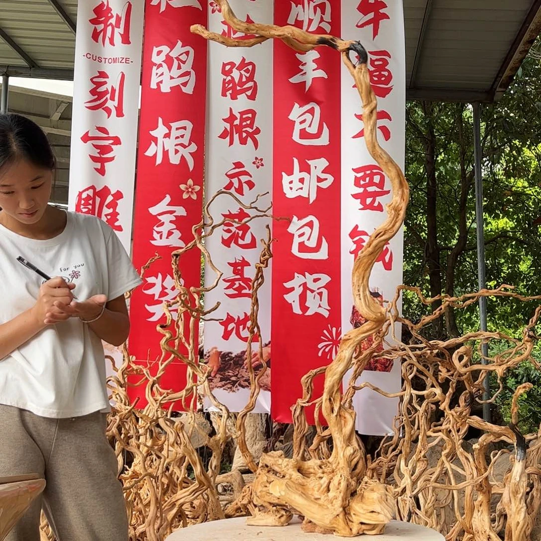 大***壶木我们的生活方式是什么