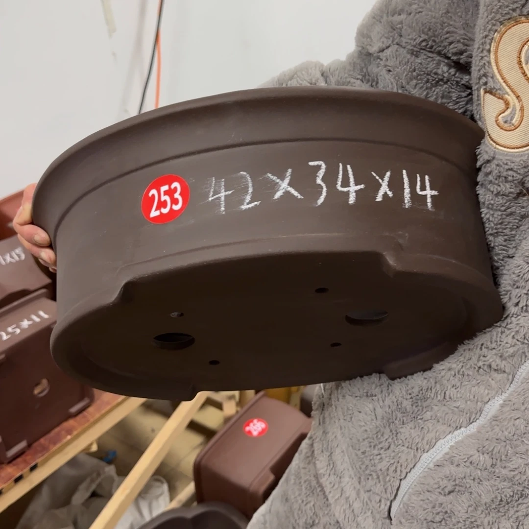 紫砂花盆呜呜呜呜