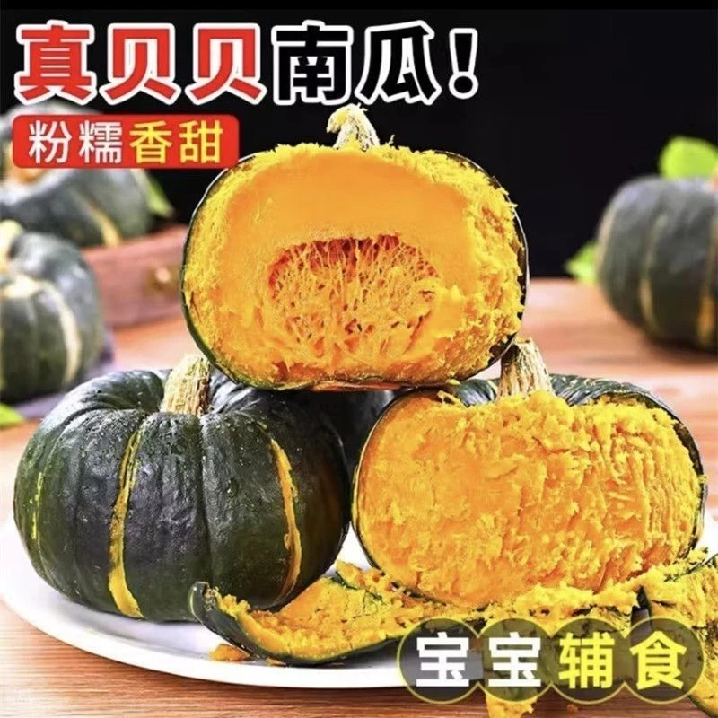 【坏果包赔】真正的贝贝南瓜真粗粮板栗味粉面香甜小南瓜捌