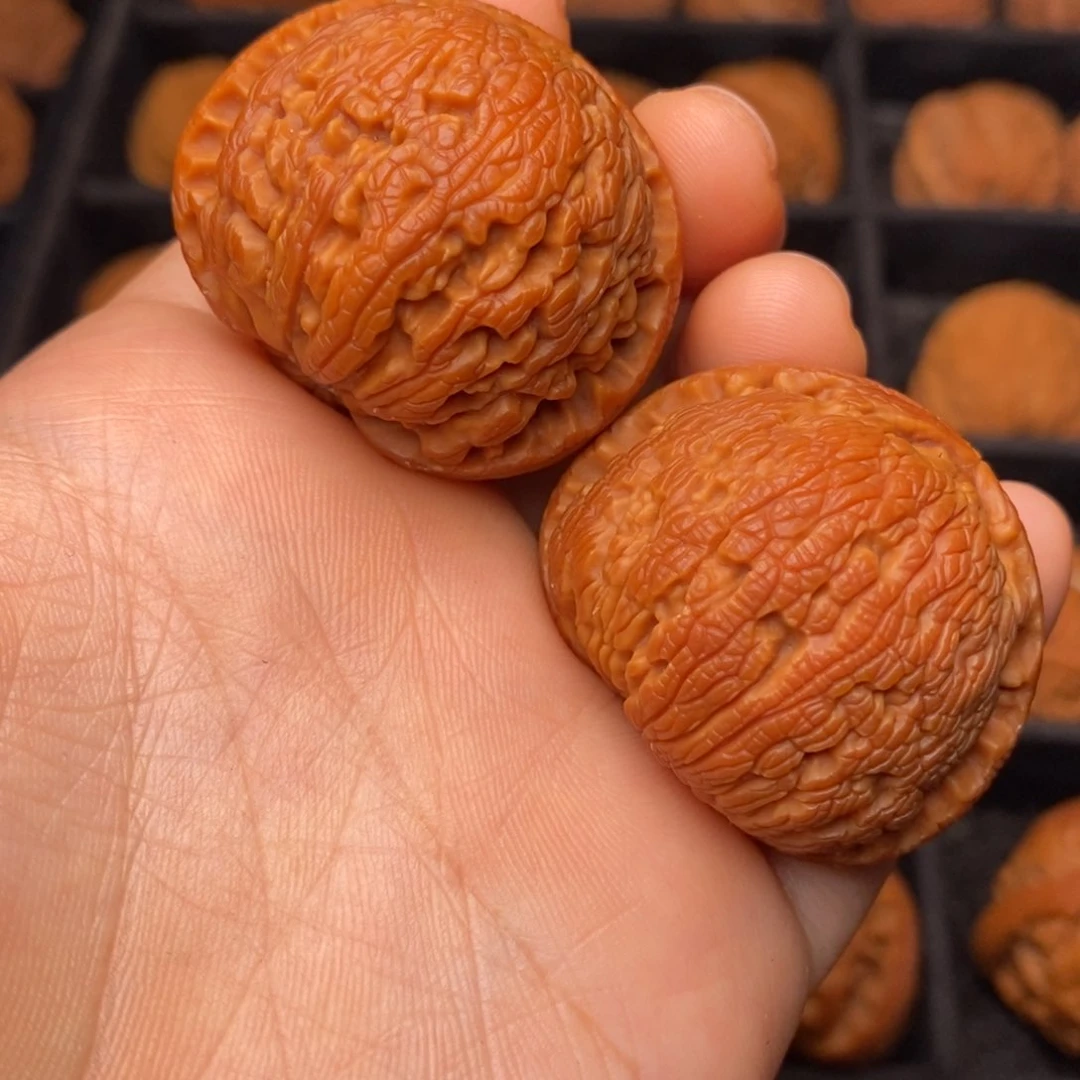 文玩核桃把件秦岭野生核桃