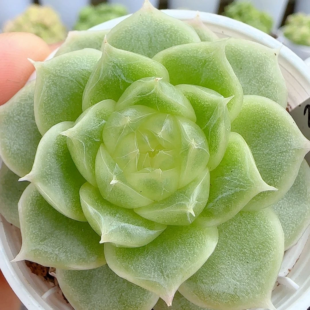 【闪购商品】0717-3（p3-72）