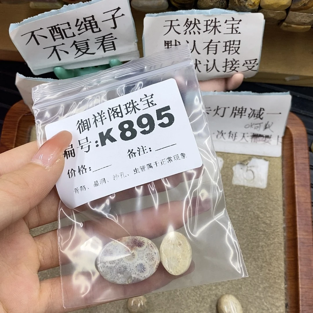 硅化珊瑚（珊瑚玉）未镶嵌颈饰R*