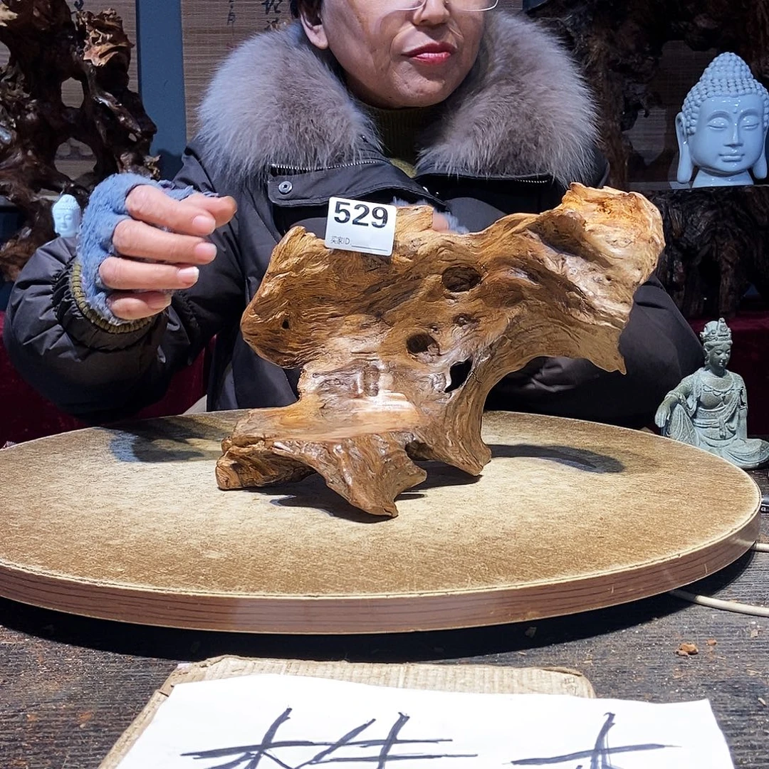 骑***行529株木随行的小根艺