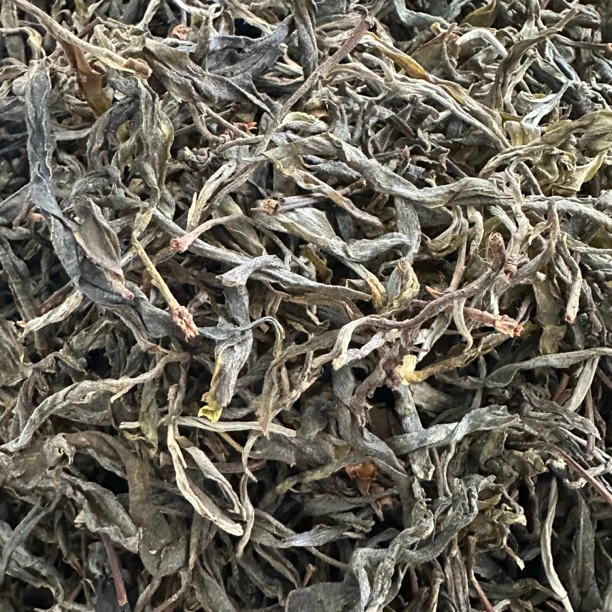 2025年 小荒田大树散茶