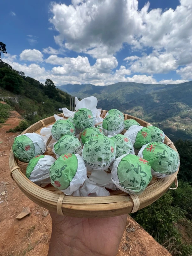 保真·「2023年冰岛小甜甜」8g龙珠