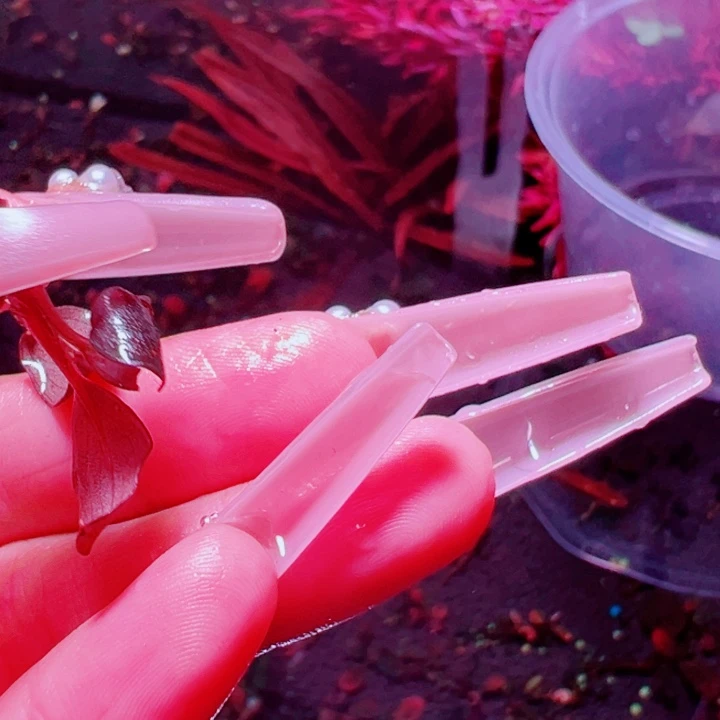 福利2号福利价植物一头