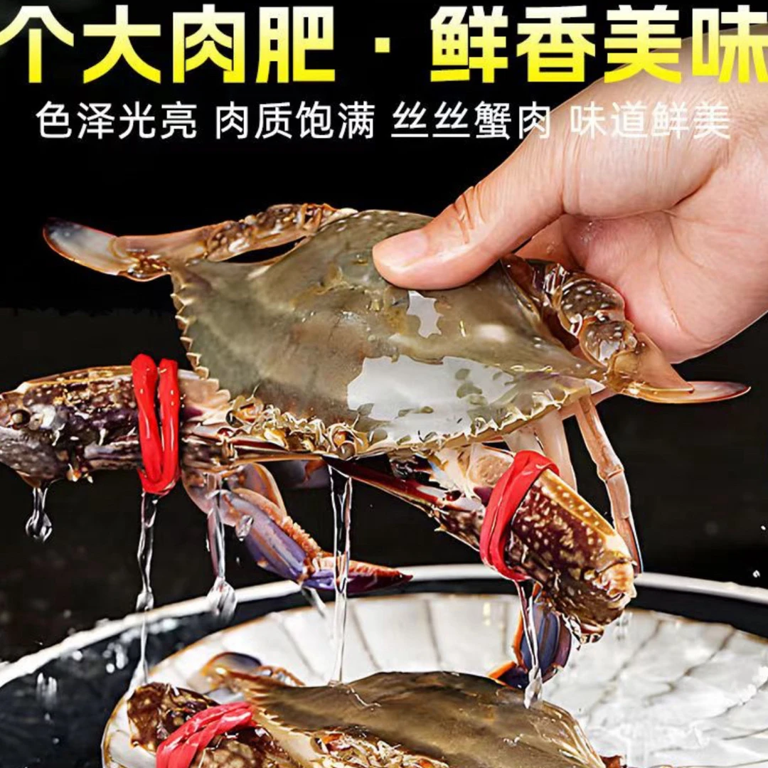 【保鲜不保活】公梭子蟹3斤【2.5两—5两/只】个别有母蟹没黄嫌小勿拍