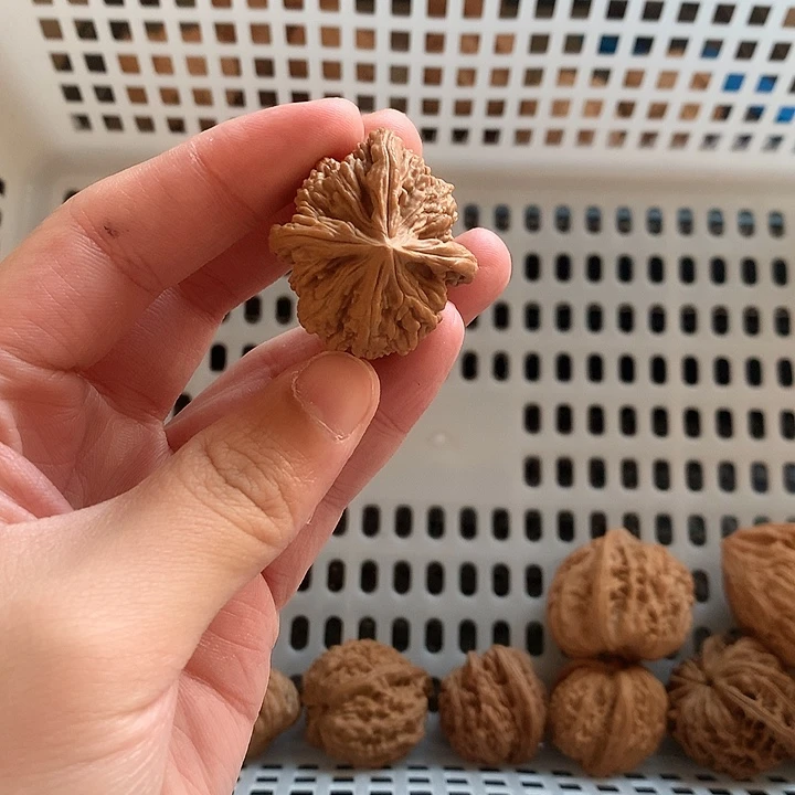 清***人文玩核桃吊坠四棱