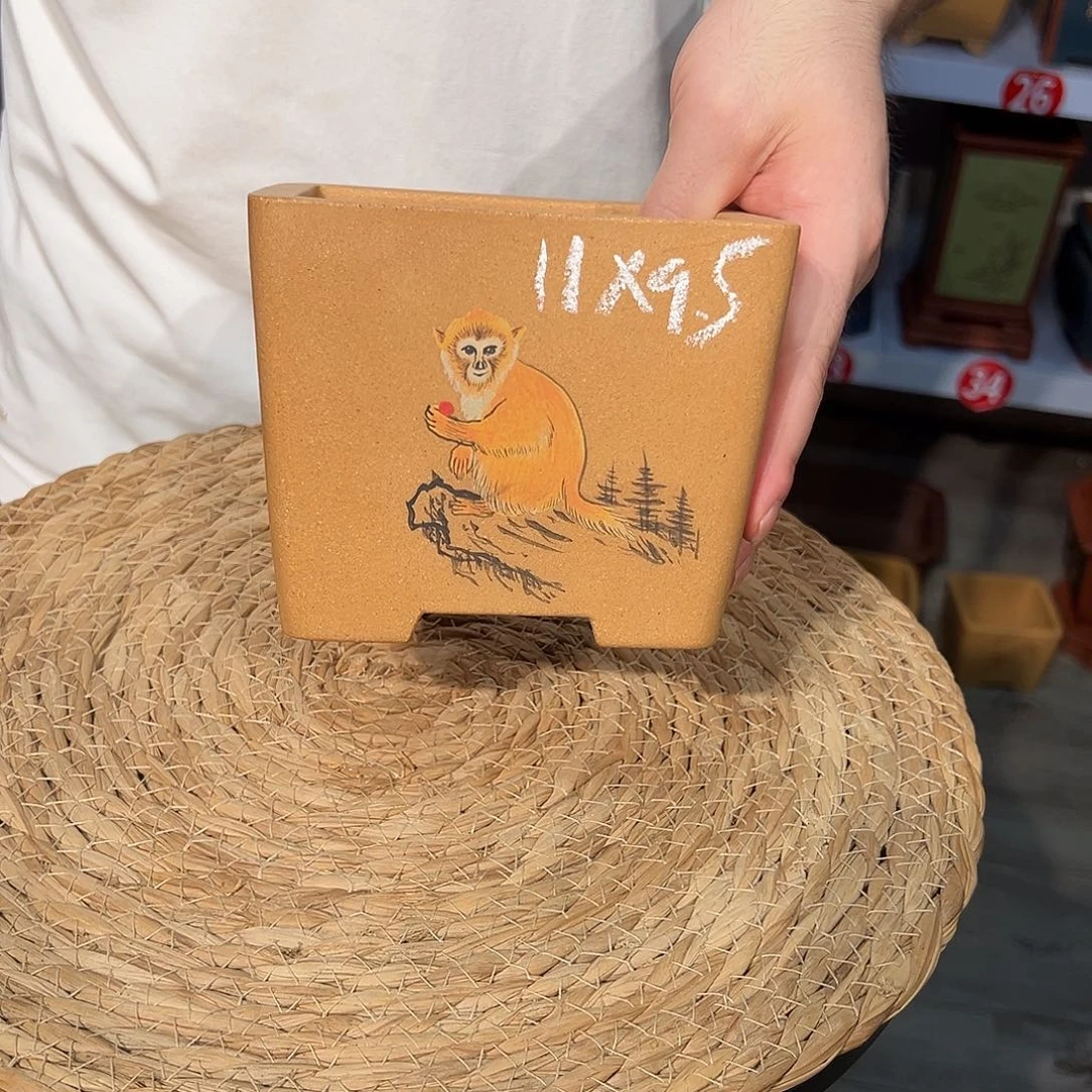 春***哥天心紫砂手工花盆