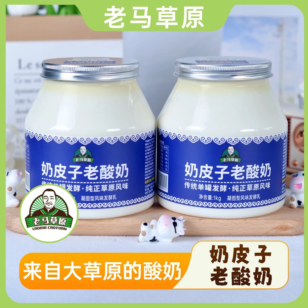 内蒙古奶皮子老酸奶1KG*2桶装传统单罐独立发酵 顺丰快递包邮