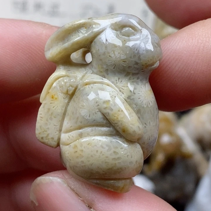颈饰未镶嵌硅化珊瑚（珊瑚玉）