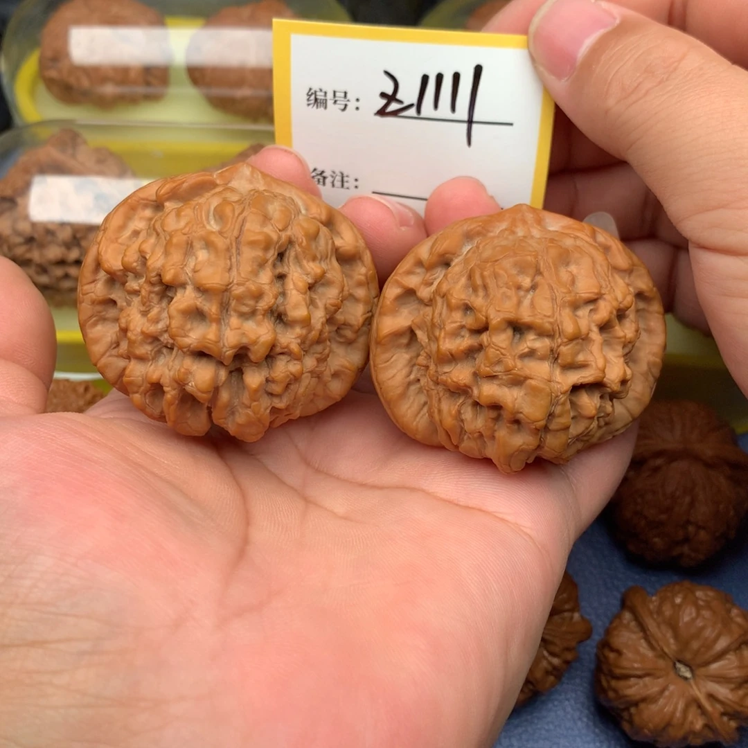 文玩核桃把件52龙鼎1111