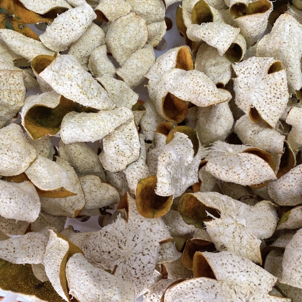 精选新皮   2025年三江深吕圈枝大红皮新会柑皮