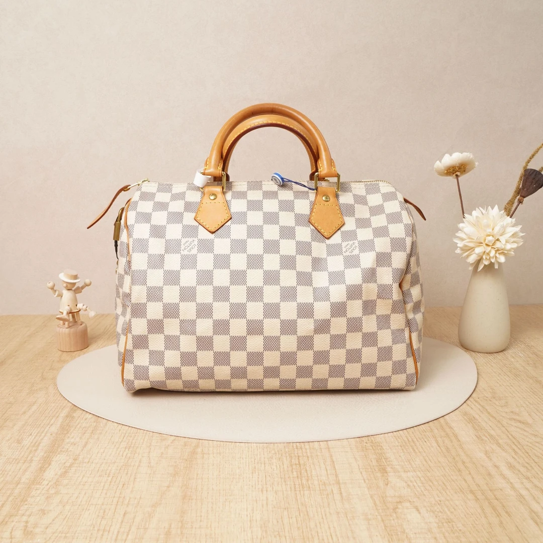 95新 LouisVuitton/路易威登 路易威登speedy25白棋盘格/DS029146