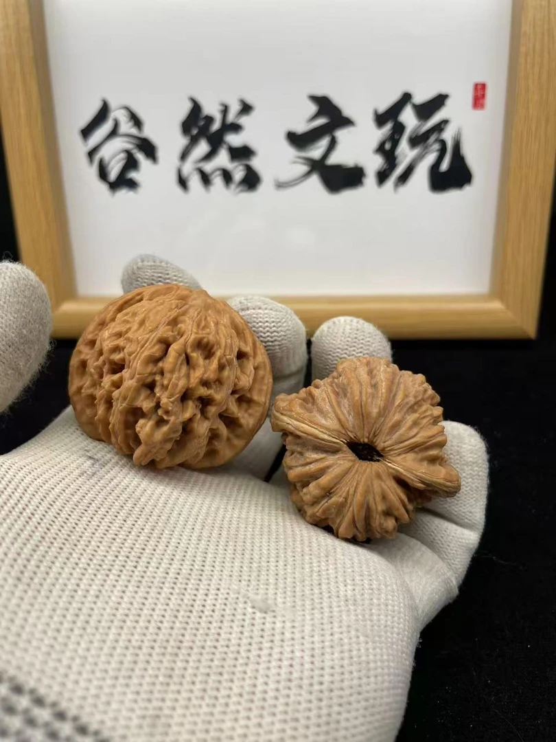 文玩核桃M盒{山西汉高楼、铁锤妹妹、野狼狮子头、蛤蟆头、平谷凹底}