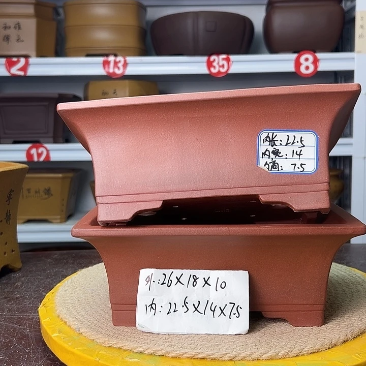 花盆紫砂蛇年大吉