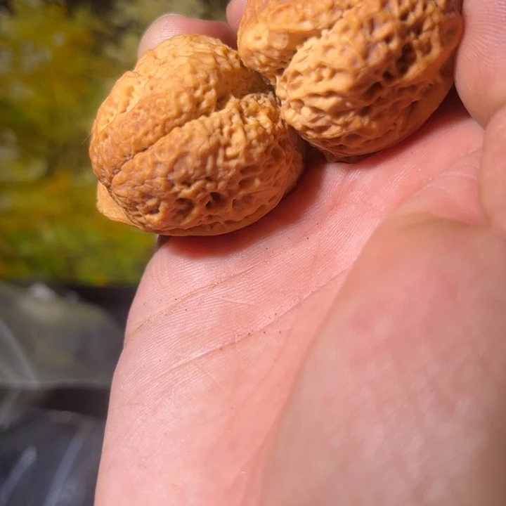 良***子文玩核桃吊坠滇西33