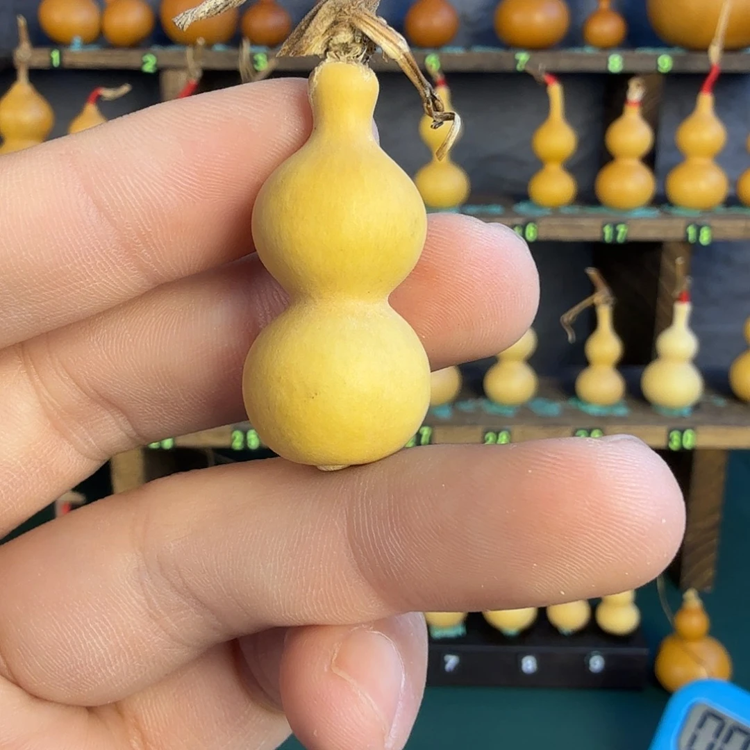 哈***塔葫芦葫芦葫芦葫芦葫芦