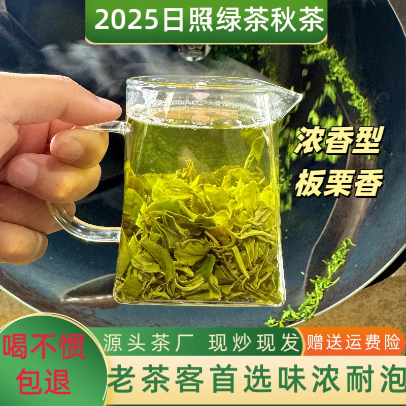 【秋茶口粮茶】2025年日照绿茶秋茶浓香型板栗香口感浓郁沙口新茶