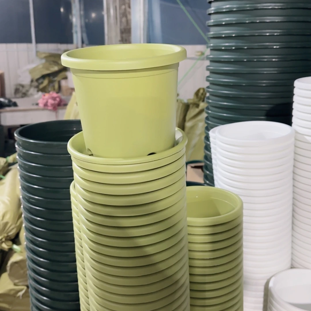 塑料四季盆2号果绿6个带拖