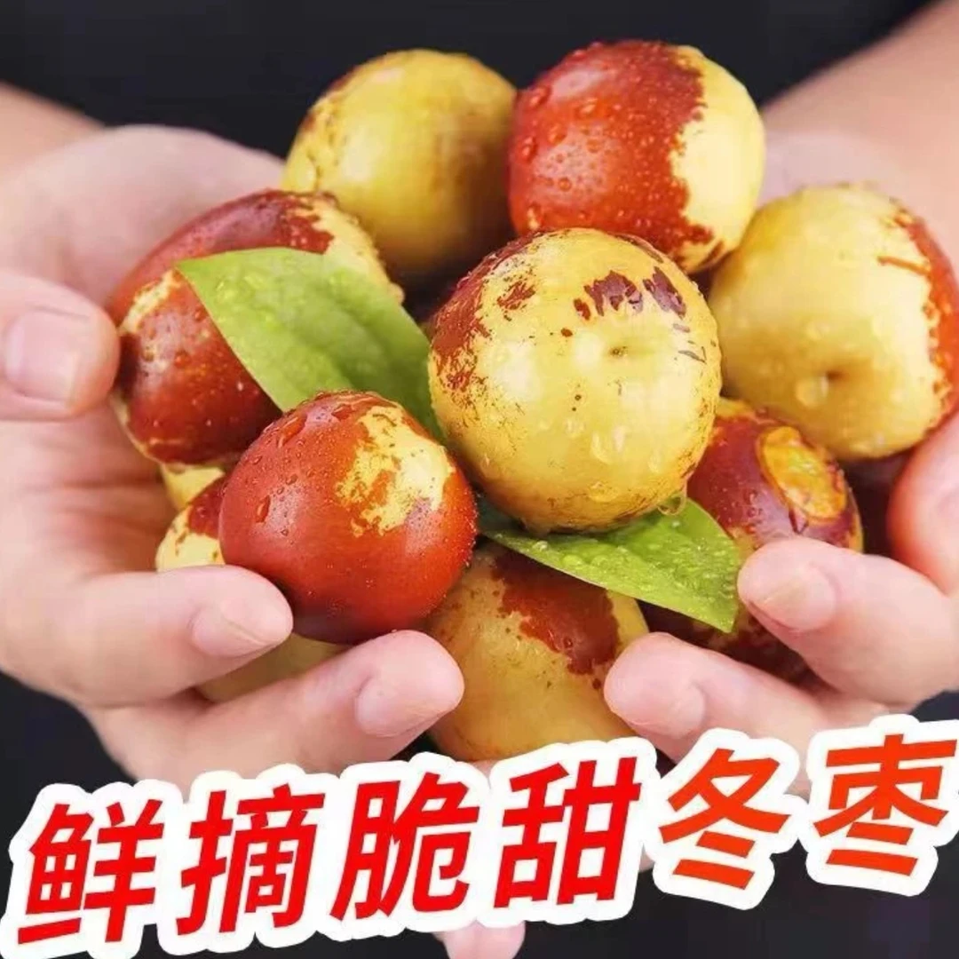 正宗大荔冬枣新鲜水果枣子5斤大枣应季脆甜鲜枣青枣