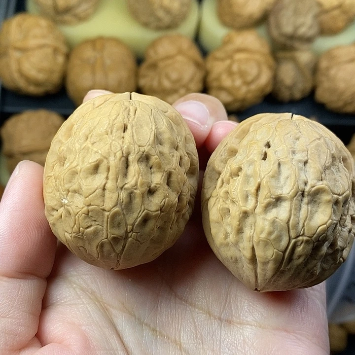 吊坠文玩核桃金龟玉甲42