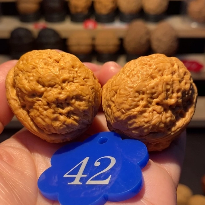 木质类粗筋帝王蟾39尺寸