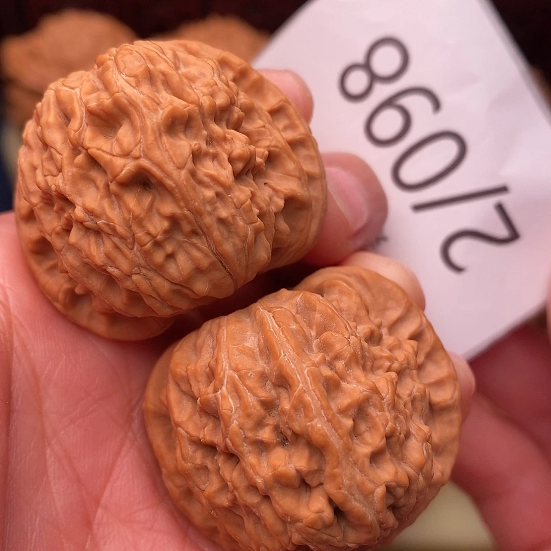 把件文玩核桃38白狮子