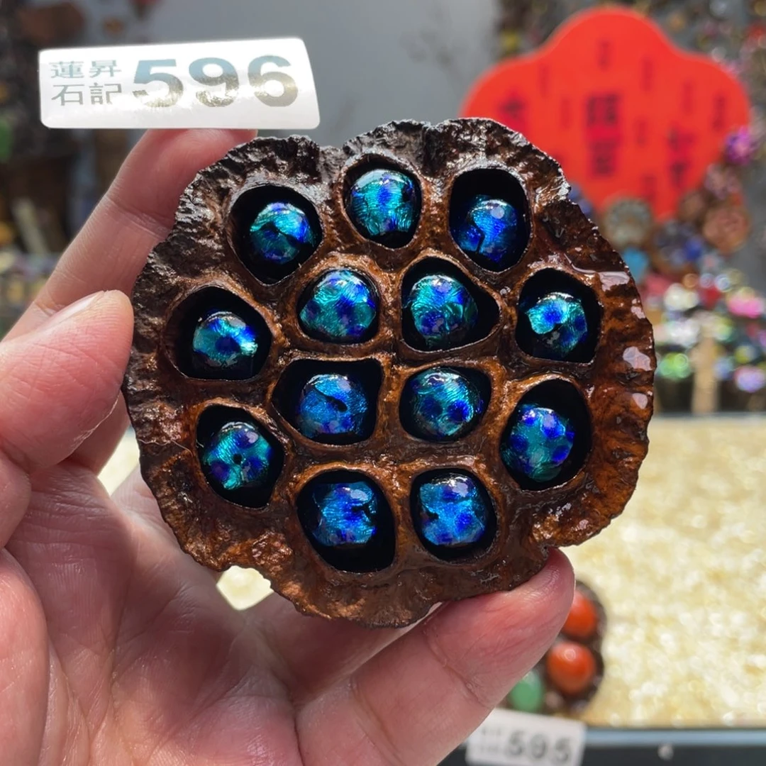 核桃木/黑胡桃（胡桃木）596