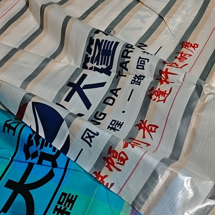 绒质66666666666666666666666666666