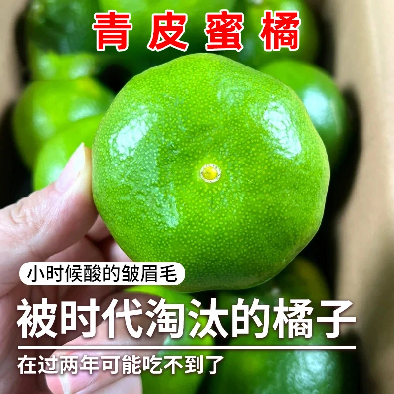 云南蜜橘新鲜水果青皮蜜桔应季早熟桔子橘子孕妇酸水果整箱包邮