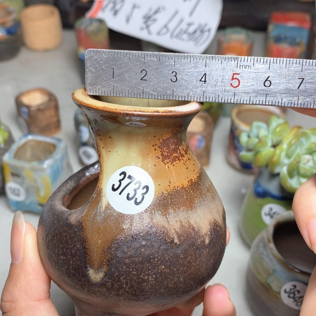 拍5送一个小礼物