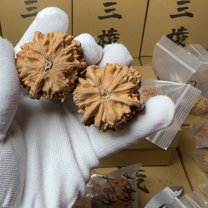 文玩核桃吊坠@*奇简单包装43尺寸玉龙三棱