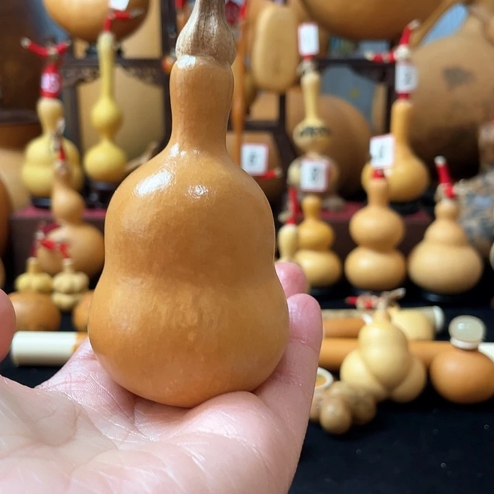 悟*葫芦丝老师在讲道理吗