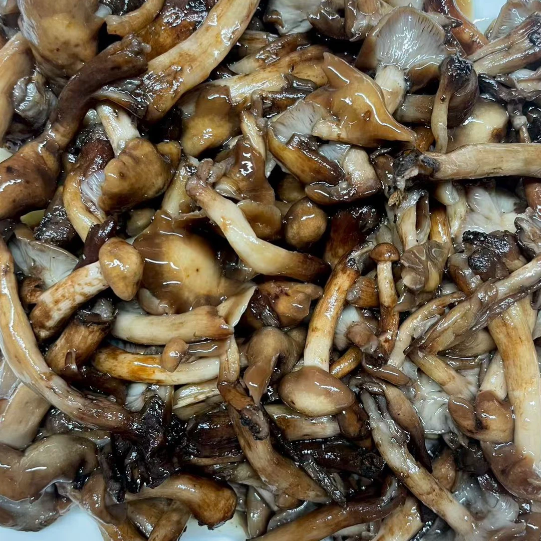 A新鲜东北特产野生榛蘑美食佳品