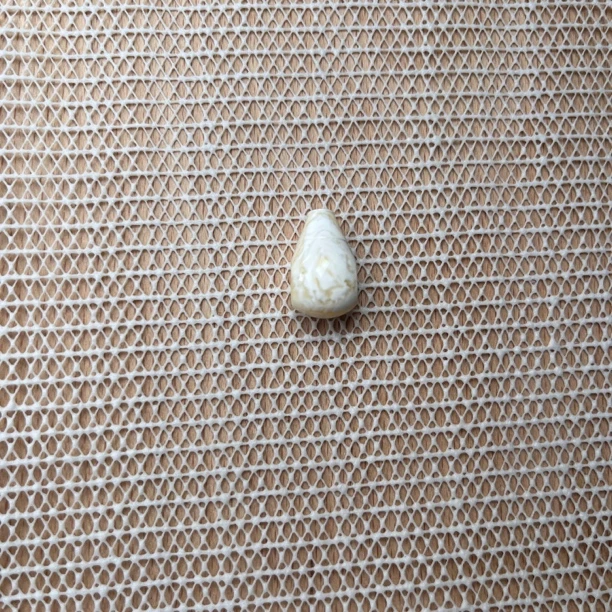 瓷白精工蜜蜡白蜡三通