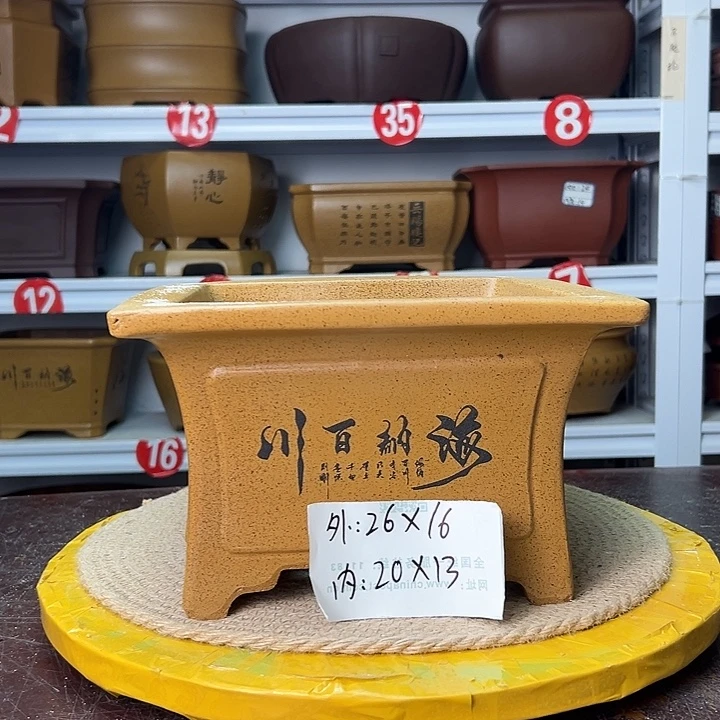 花盆紫砂蛇年大吉