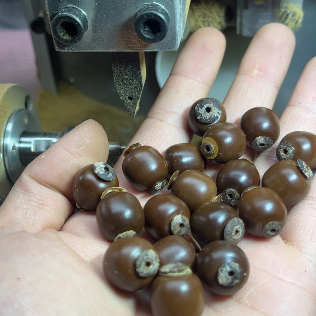 我****菩提根/象牙果手串