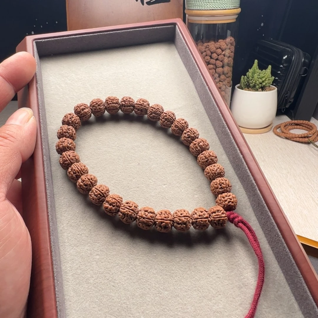 手串金刚菩提勿里达老树王手持小金刚