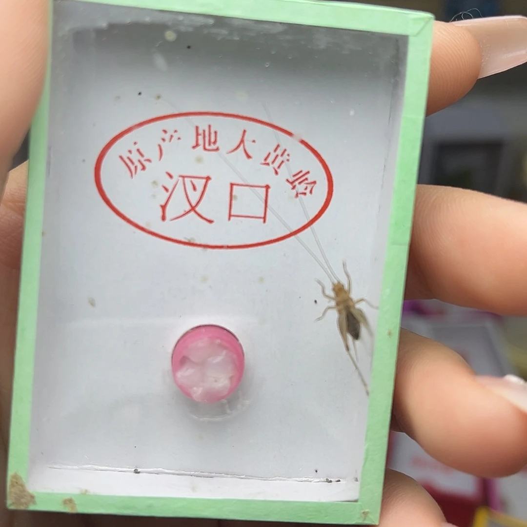 蚂蚁工坊大黄。