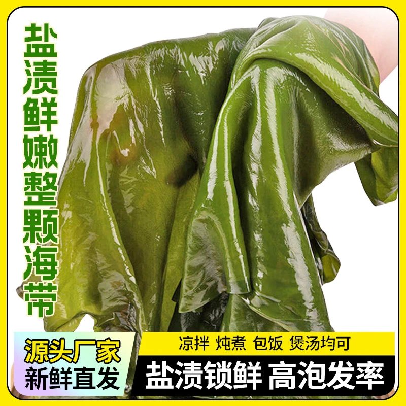 大连整颗海带带箱5斤海带盐渍海带凉拌菜包饭品质厚片包邮直发