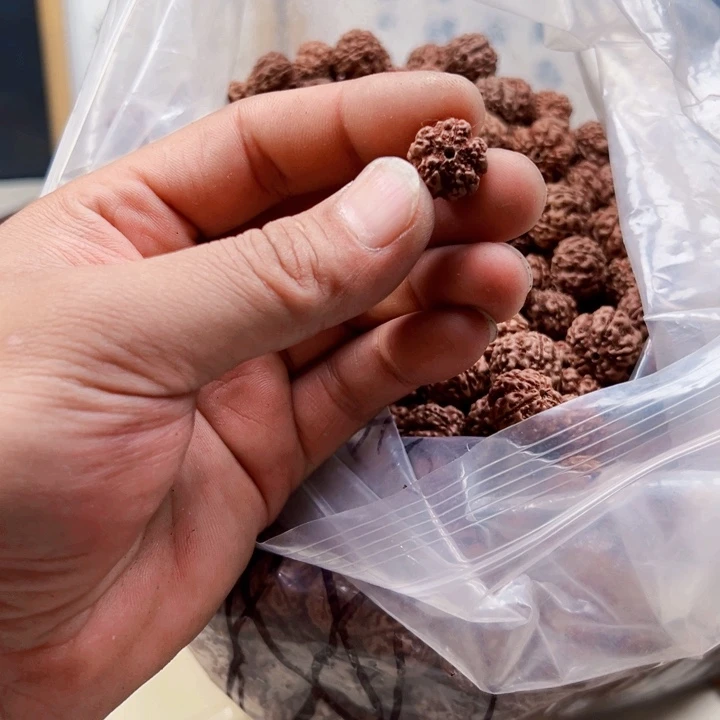 金刚菩提吊坠15尺寸原生态霸王花