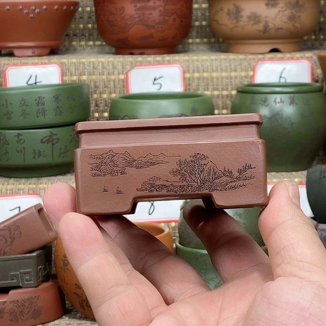 紫砂花盆我在等一