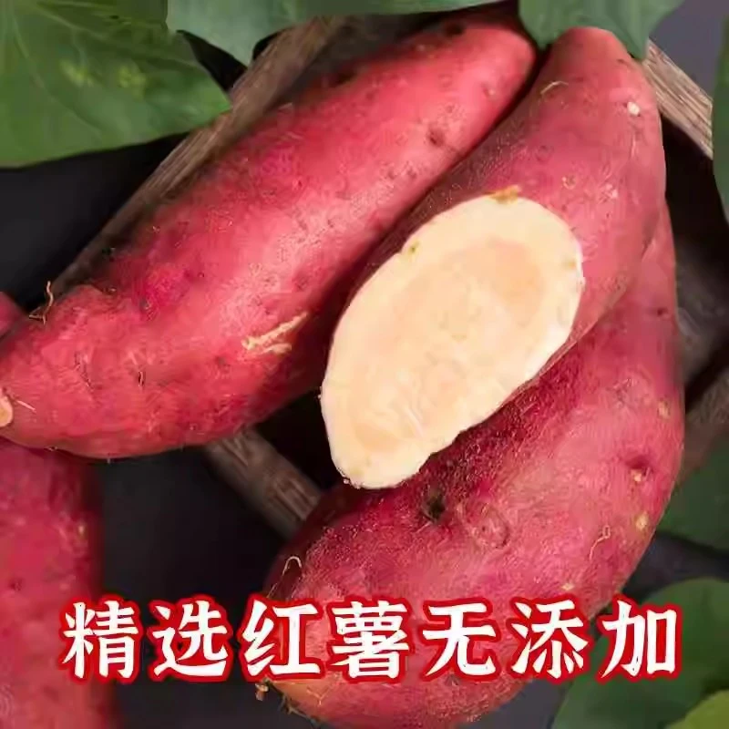 农家自制纯正红薯淀粉无添加上等红薯研磨而成井冈山手工红薯淀粉