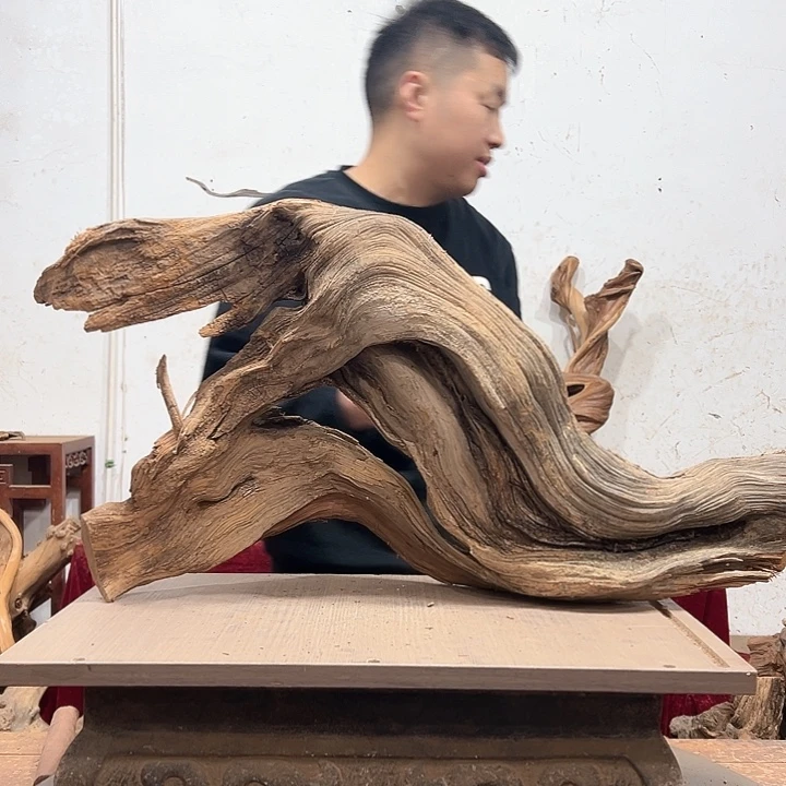 柏木?我们的生活是以自己为