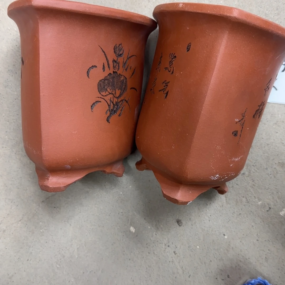 红陶雪**狐福利秒杀活动